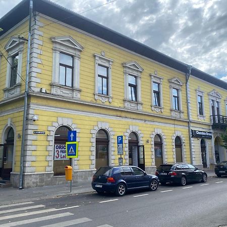 City Center Apartman Satu Mare Buitenkant foto